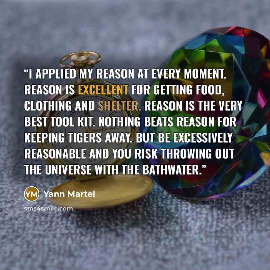 “I applied my reason at every moment. Reason is excellent for getting food, clothing and shelter. Reason is the very best tool kit. Nothing beats reason for keeping tigers away. But be excessively reasonable and you risk throwing out the universe with the bathwater.” quote by Yann Martel