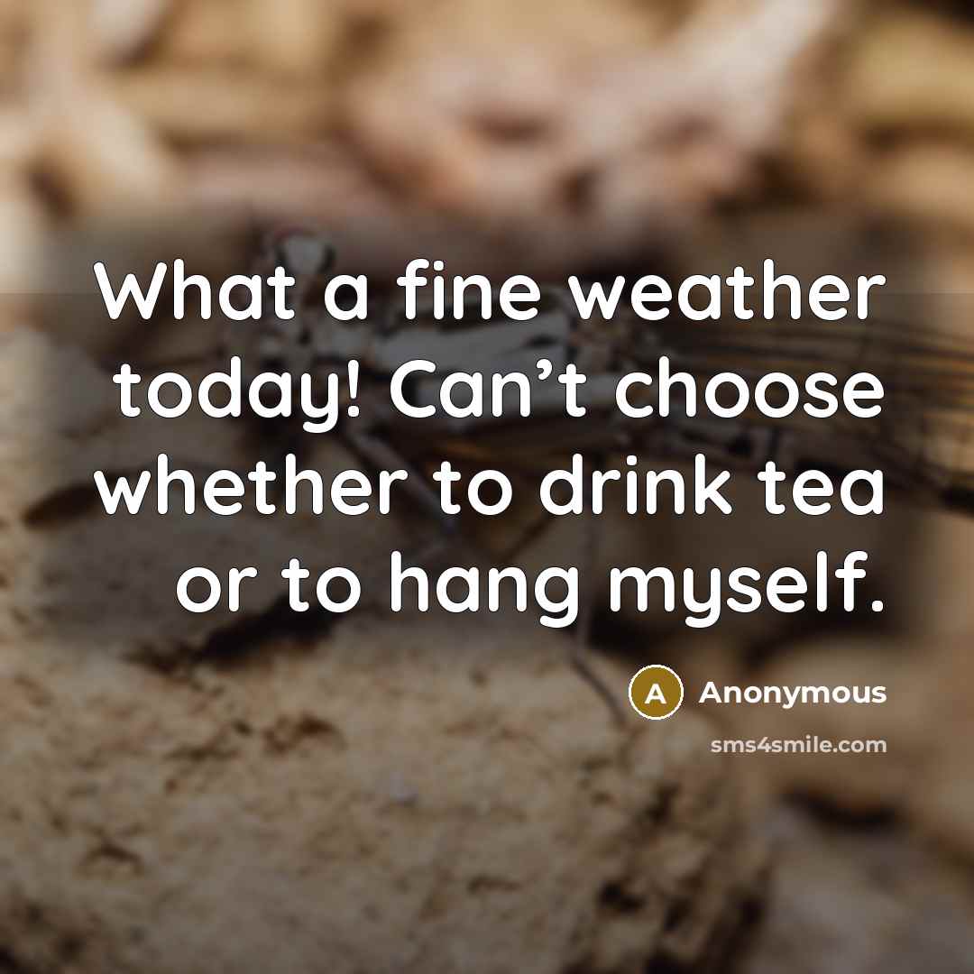“What a fine weather today! Can’t choose whether to drink tea or to hang myself.” quote by Anonymous