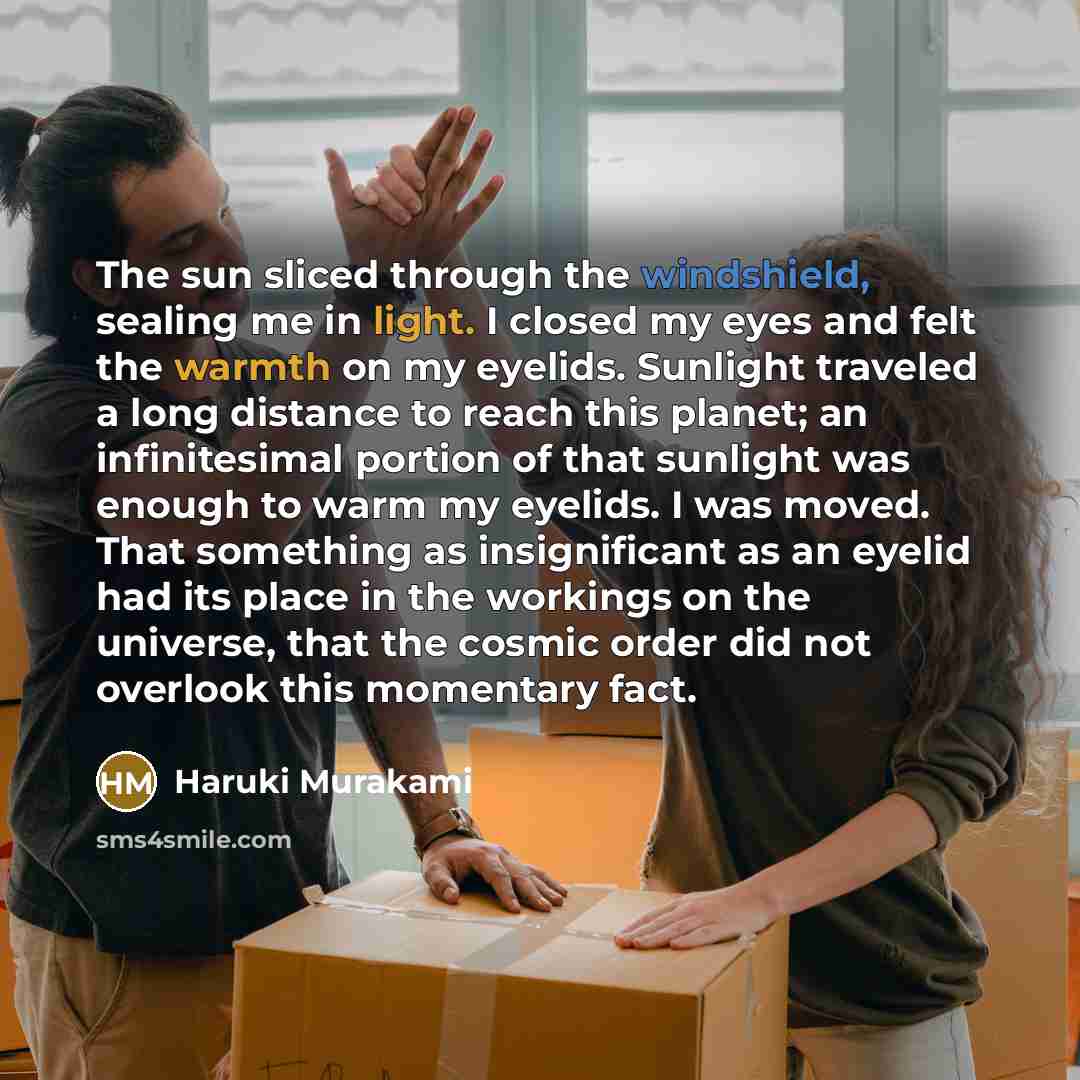 “The sun sliced through the windshield, sealing me in light. I closed my eyes and felt the warmth on my eyelids. Sunlight traveled a long distance to reach this planet; an infinitesimal portion of that sunlight was enough to warm my eyelids. I was moved. That something as insignificant as an eyelid…” quote by Haruki Murakami