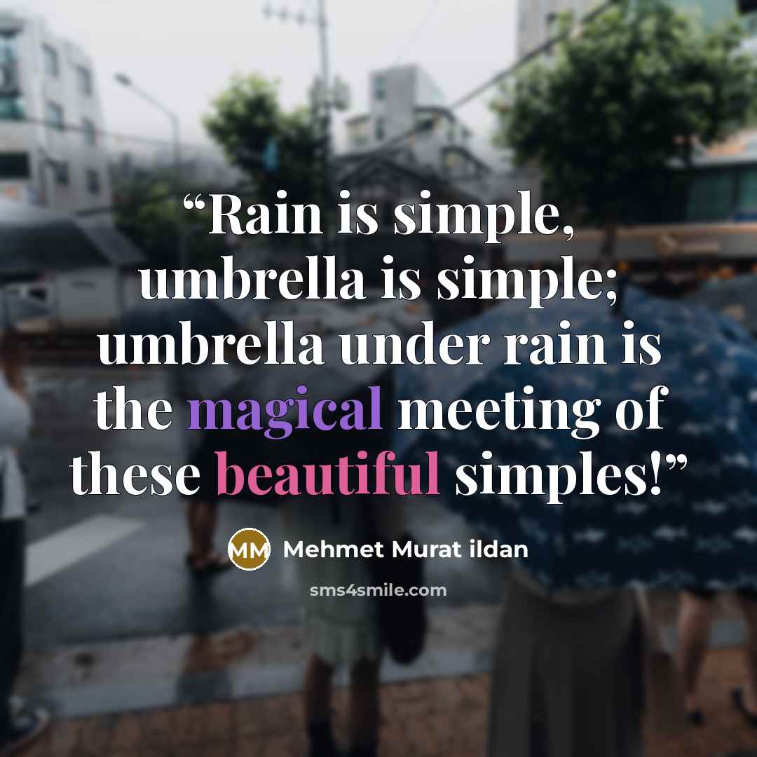 “Rain is simple, umbrella is simple; umbrella under rain is the magical meeting of these beautiful simples!” quote by Mehmet Murat ildan