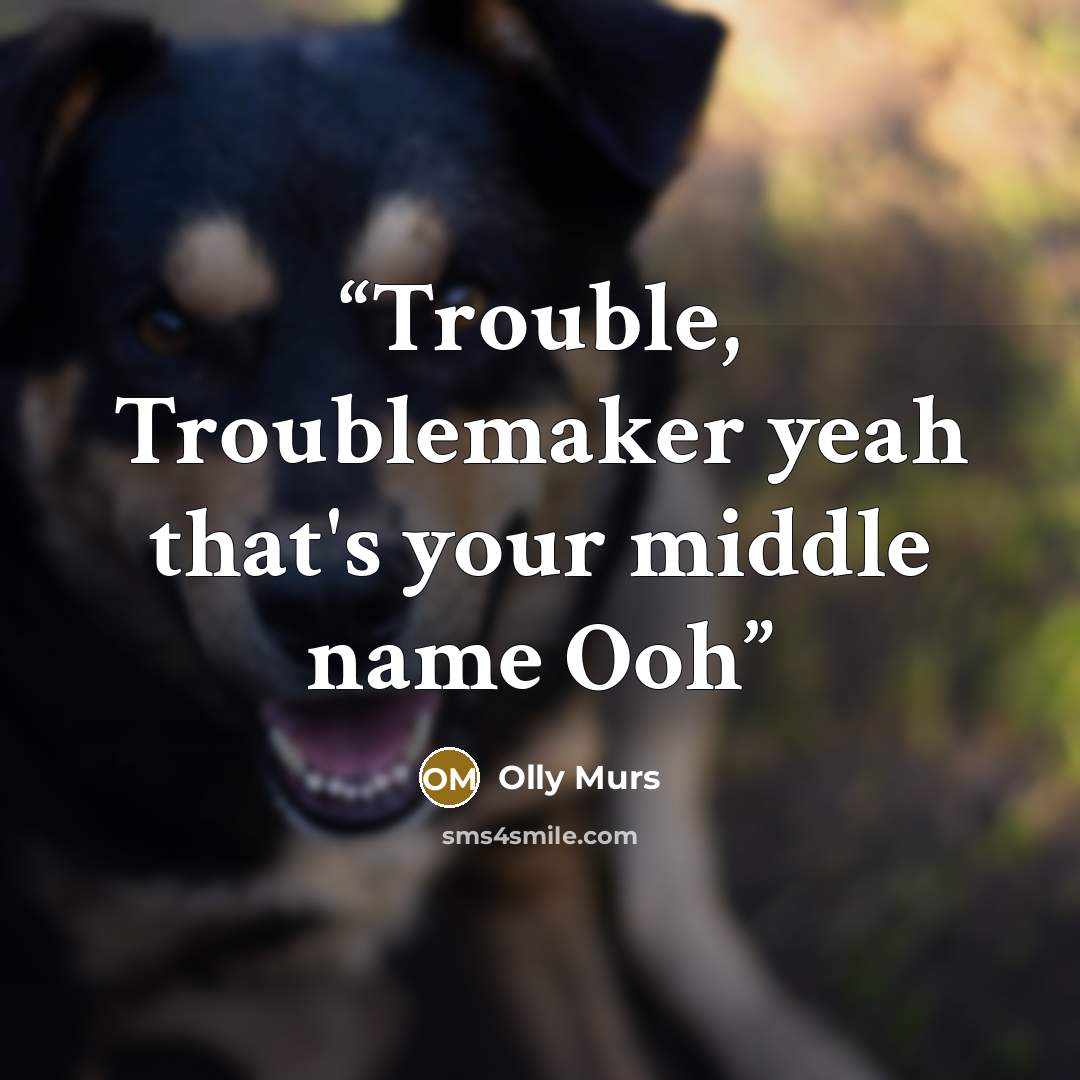 “Trouble, Troublemaker yeah that's your middle name Ooh” quote by Olly Murs