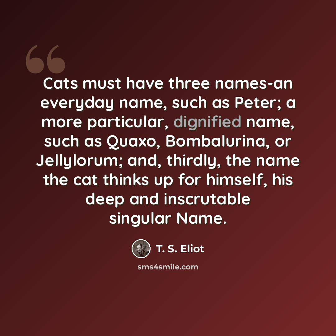 “Cats must have three names-an everyday name, such as Peter; a more particular, dignified name, such as Quaxo, Bombalurina, or Jellylorum; and, thirdly, the name the cat thinks up for himself, his deep and inscrutable singular Name.” quote by T. S. Eliot