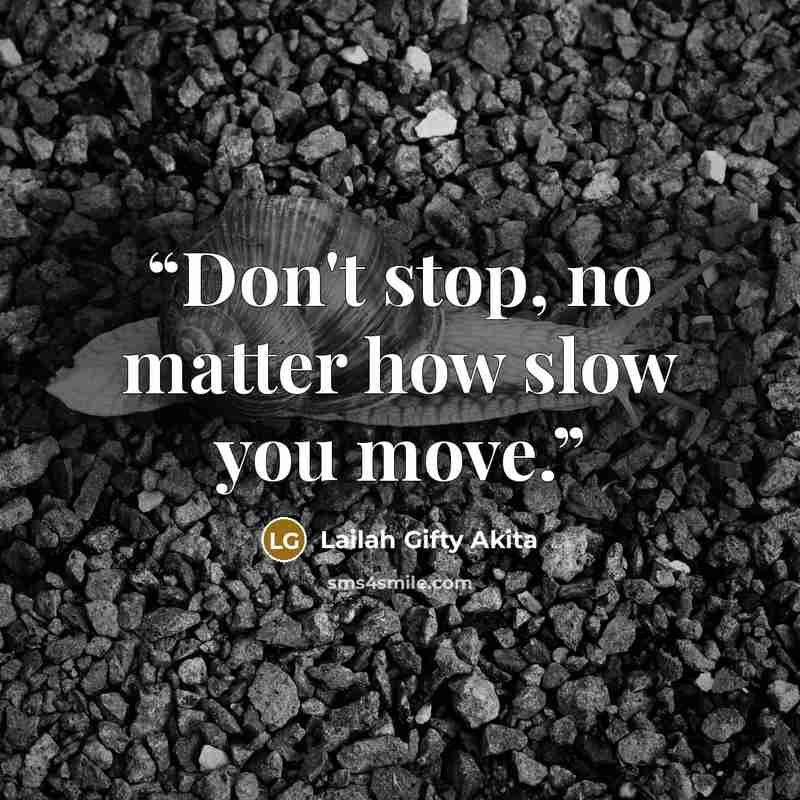 “Don't stop, no matter how slow you move.” quote by Lailah Gifty Akita