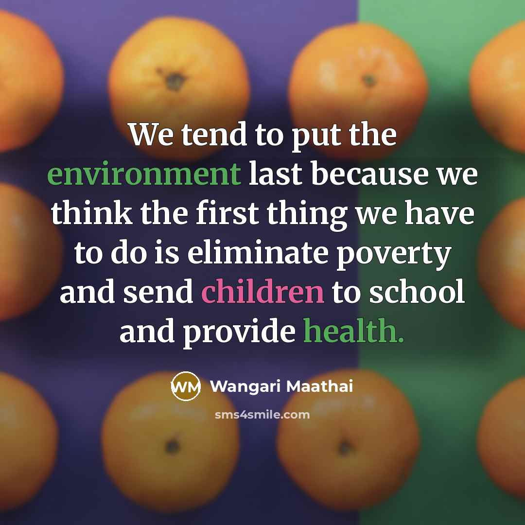 “We tend to put the environment last because we think the first thing we have to do is eliminate poverty and send children to school and provide health.” quote by Wangari Maathai