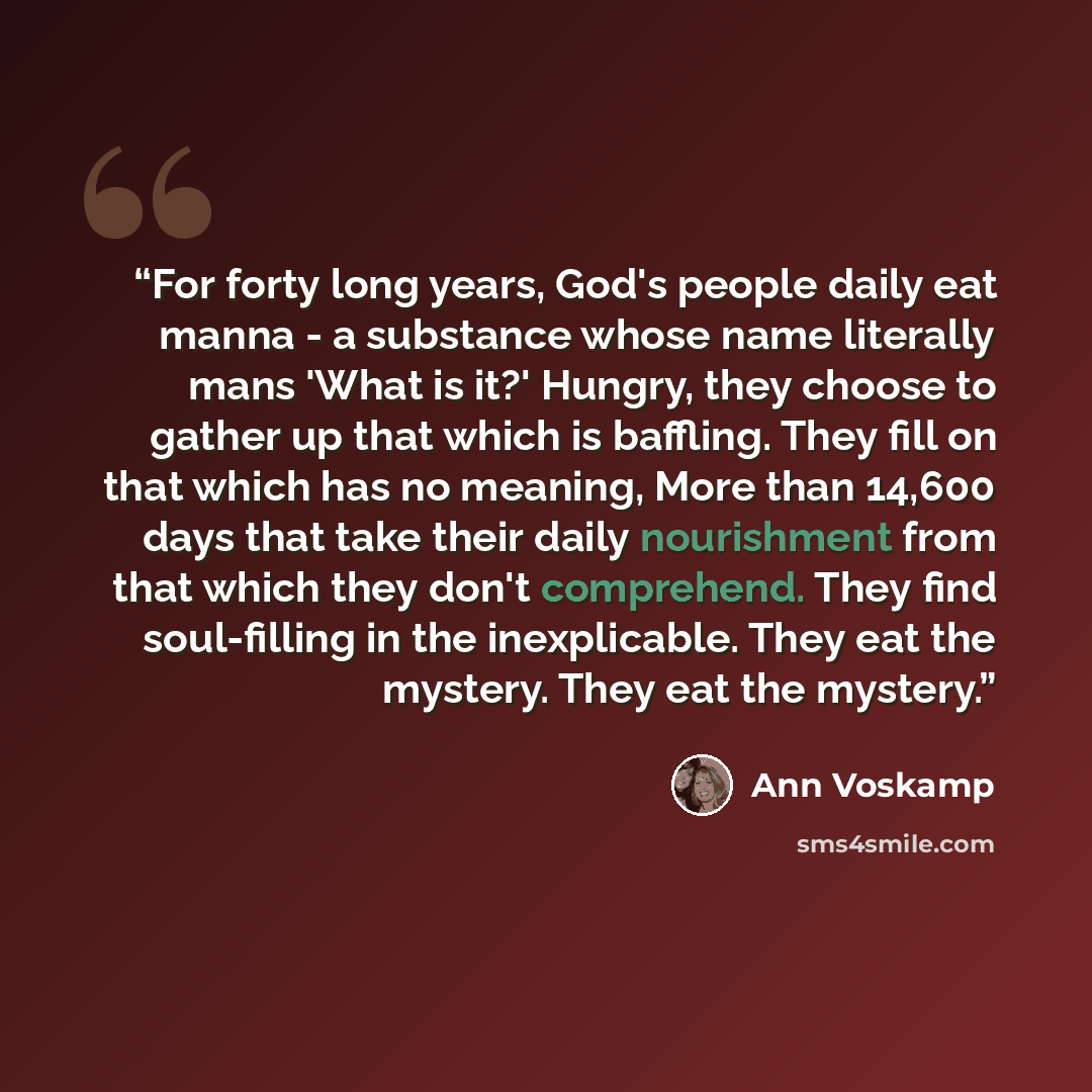 “For forty long years, God's people daily eat manna - a substance whose name literally mans 'What is it?' Hungry, they choose to gather up that which is baffling. They fill on that which has no meaning, More than 14,600 days that take their daily nourishment from that which they don't comprehend…” quote by Ann Voskamp