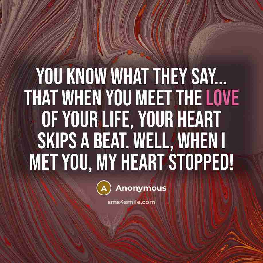 “You know what they say... that when you meet the love of your life, your heart skips a beat. Well, when I met you, my heart stopped!” quote by Anonymous