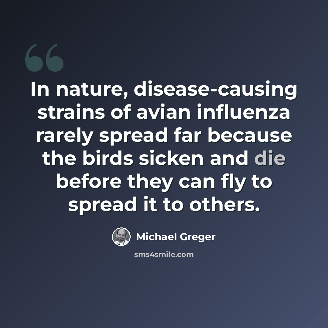 “In nature, disease-causing strains of avian influenza rarely spread far because the birds sicken and die before they can fly to spread it to others.” quote by Michael Greger