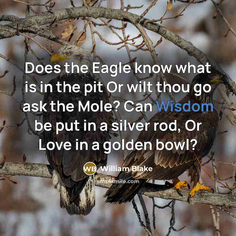 “Does the Eagle know what is in the pit Or wilt thou go ask the Mole? Can Wisdom be put in a silver rod, Or Love in a golden bowl?” quote by William Blake