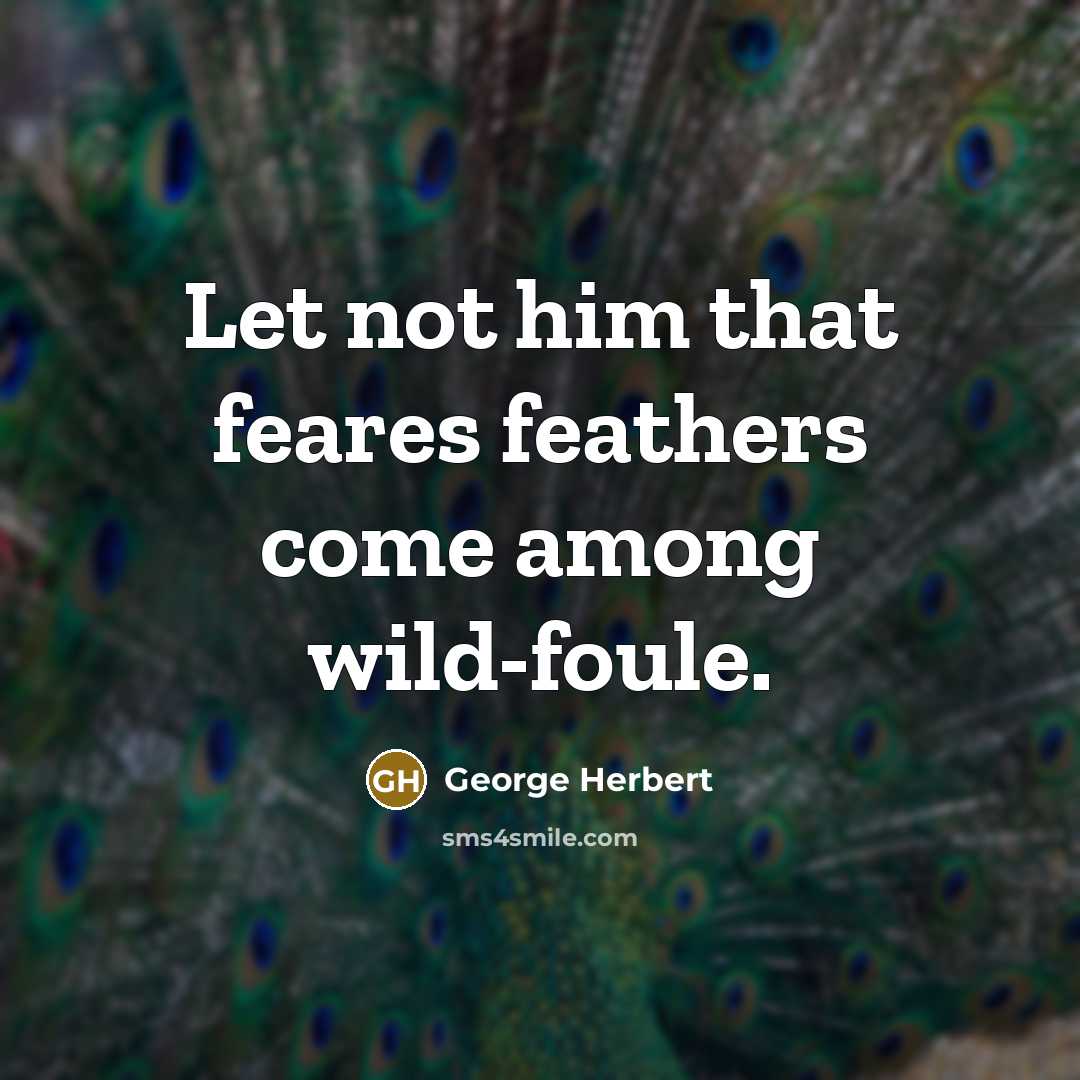 “Let not him that feares feathers come among wild-foule.” quote by George Herbert