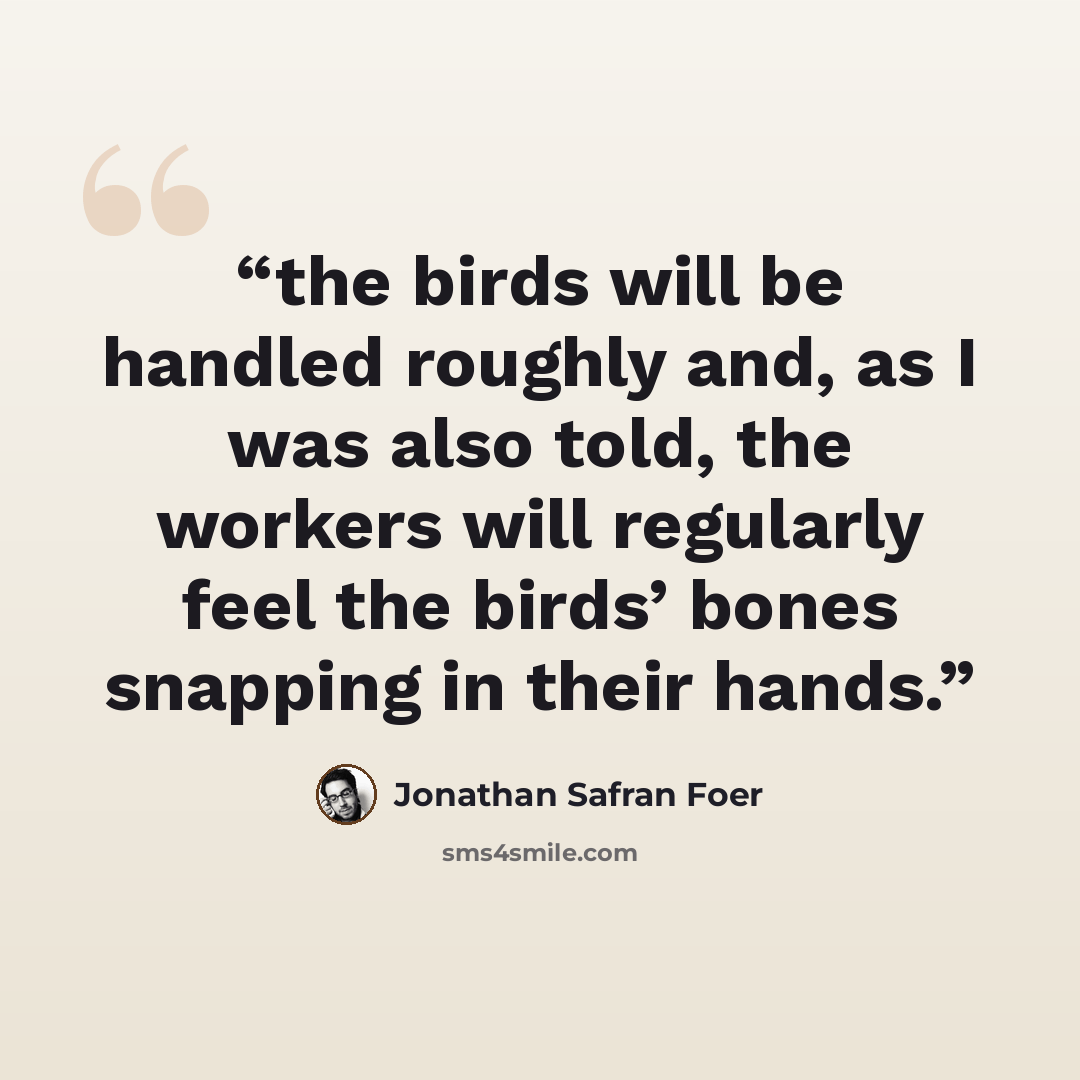 “the birds will be handled roughly and, as I was also told, the workers will regularly feel the birds’ bones snapping in their hands.” quote by Jonathan Safran Foer