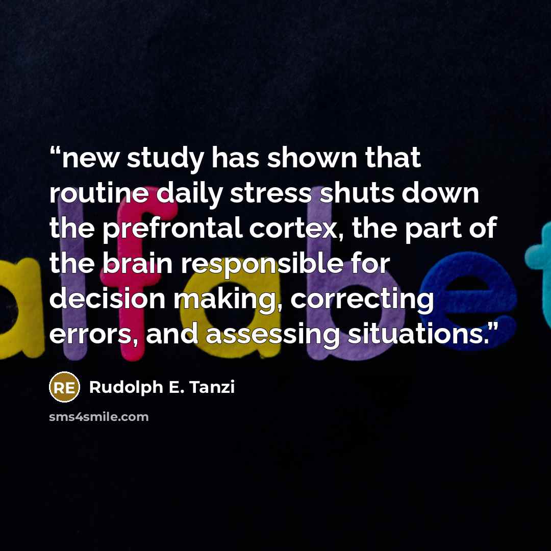 “new study has shown that routine daily stress shuts down the prefrontal cortex, the part of the brain responsible for decision making, correcting errors, and assessing situations.” quote by Rudolph E. Tanzi