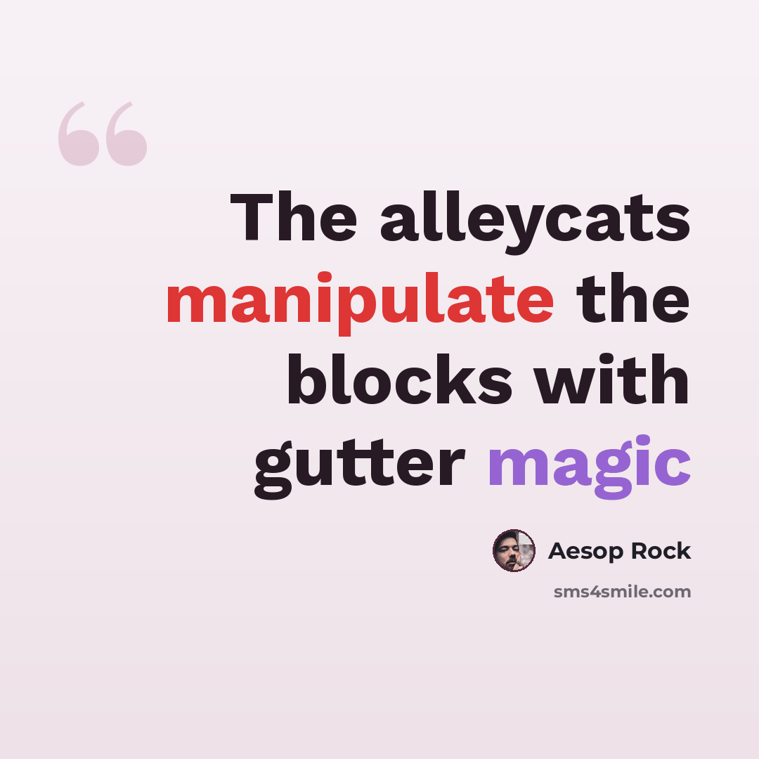 “The alleycats manipulate the blocks with gutter magic” quote by Aesop Rock