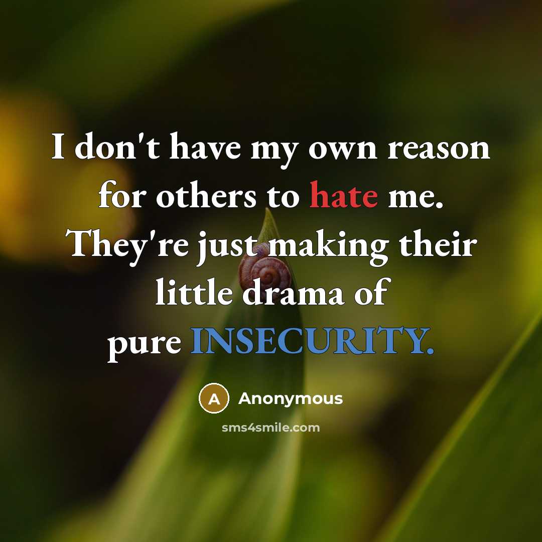 “I don't have my own reason for others to hate me. They're just making their little drama of pure INSECURITY.” quote by Anonymous