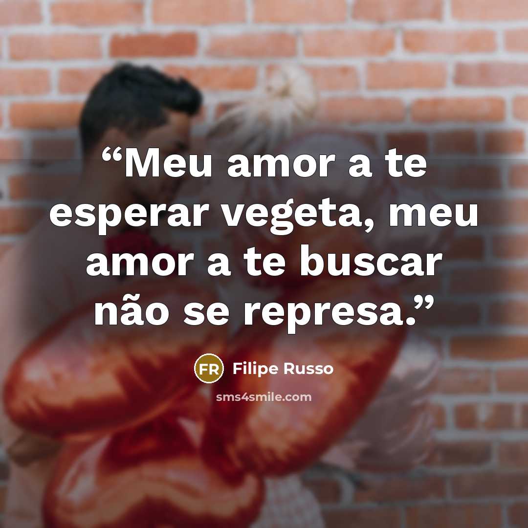 “Meu amor a te esperar vegeta, meu amor a te buscar não se represa.” quote by Filipe Russo