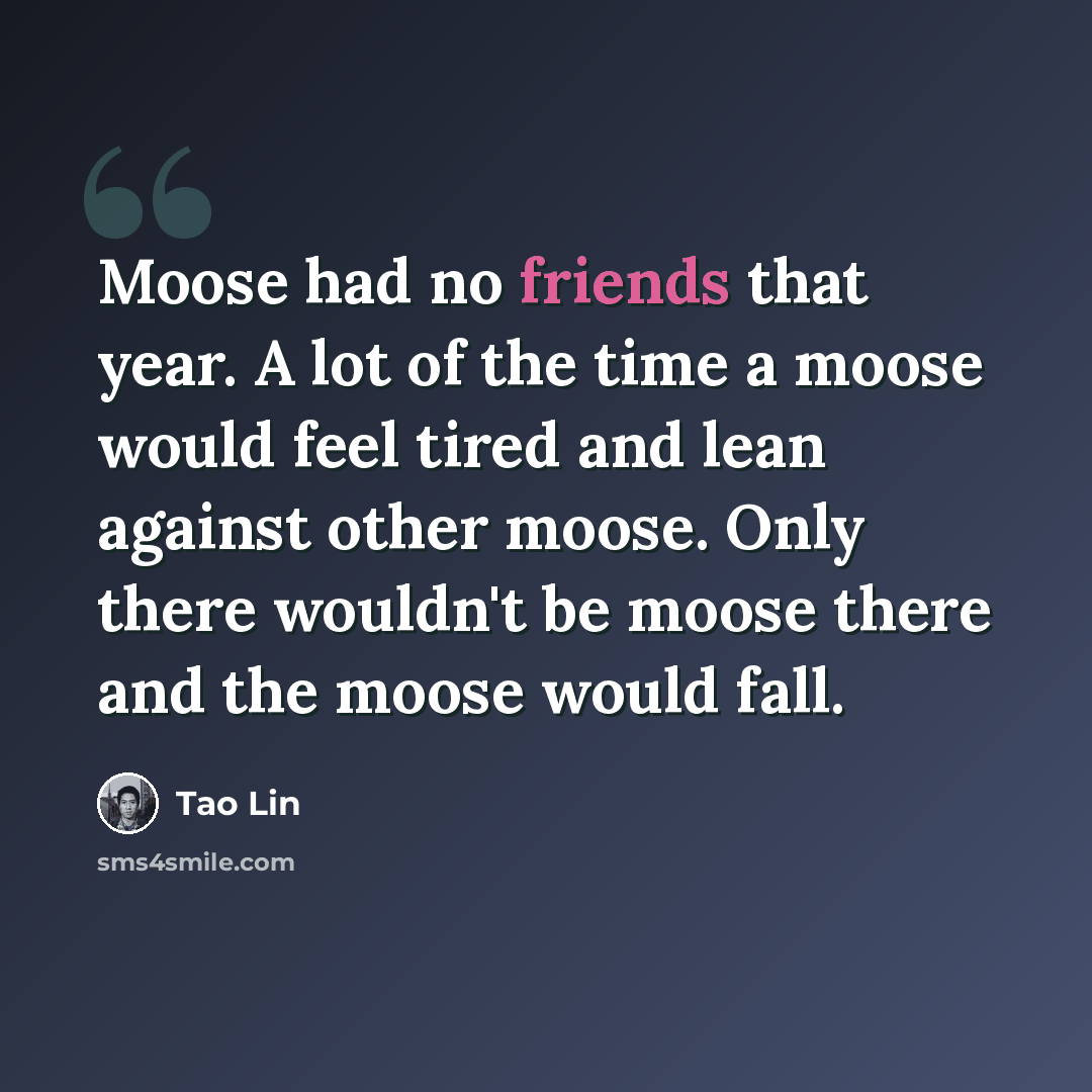 “Moose had no friends that year. A lot of the time a moose would feel tired and lean against other moose. Only there wouldn't be moose there and the moose would fall.” quote by Tao Lin