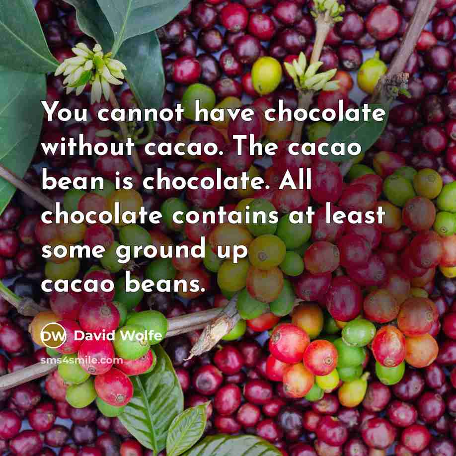 “You cannot have chocolate without cacao. The cacao bean is chocolate. All chocolate contains at least some ground up cacao beans.” quote by David Wolfe