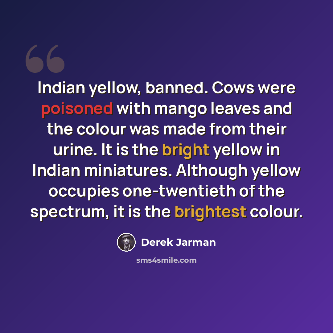 “Indian yellow, banned. Cows were poisoned with mango leaves and the colour was made from their urine. It is the bright yellow in Indian miniatures. Although yellow occupies one-twentieth of the spectrum, it is the brightest colour.” quote by Derek Jarman