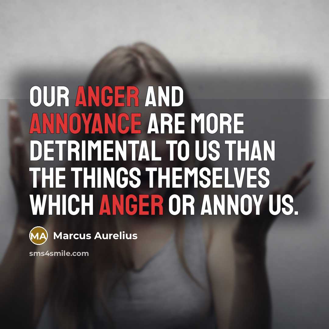 “Our anger and annoyance are more detrimental to us than the things themselves which anger or annoy us.” quote by Marcus Aurelius