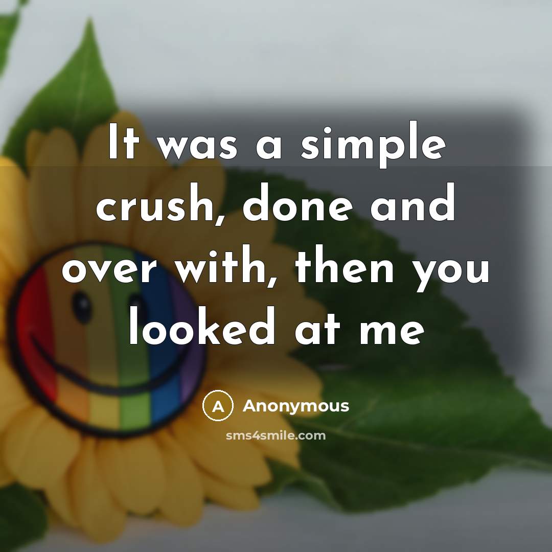 “It was a simple crush, done and over with, then you looked at me” quote by Anonymous
