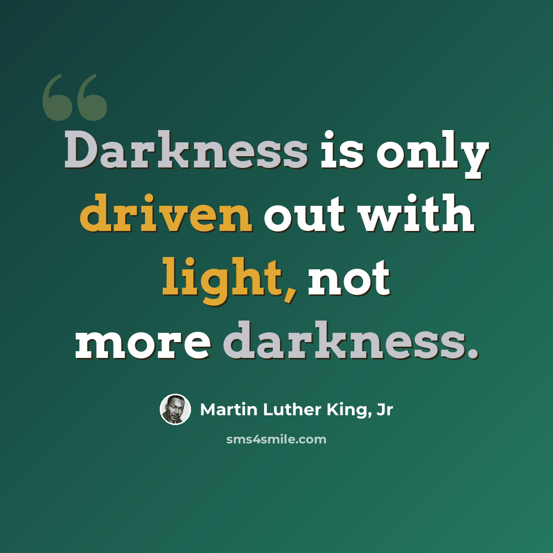 “Darkness is only driven out with light, not more darkness.” quote by Martin Luther King, Jr