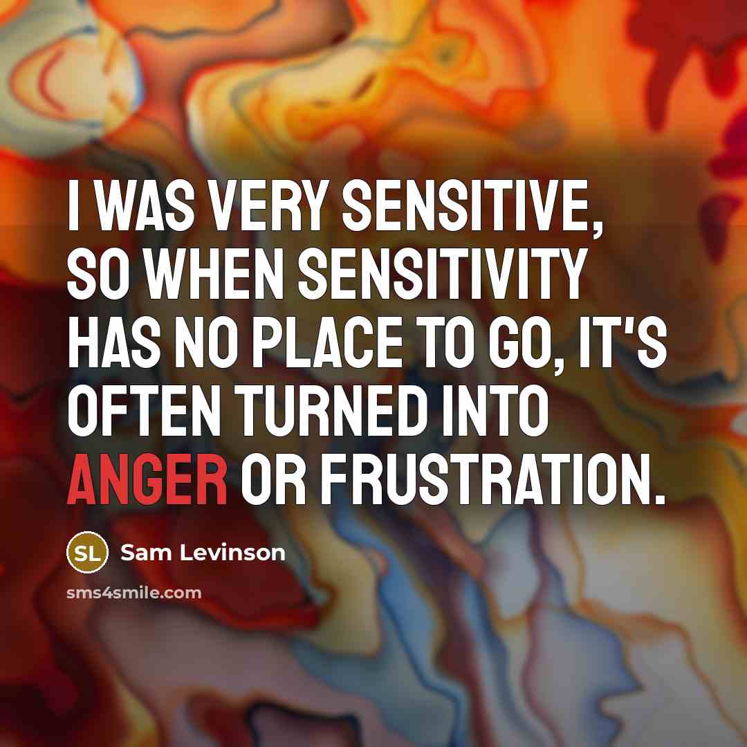 “I was very sensitive, so when sensitivity has no place to go, it's often turned into anger or frustration.” quote by Sam Levinson