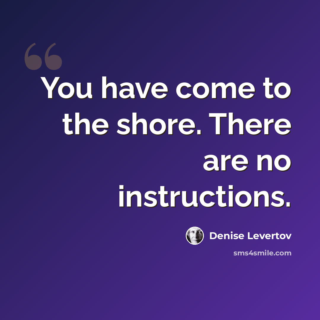 “You have come to the shore. There are no instructions.” quote by Denise Levertov