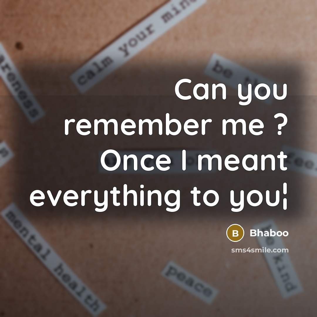 “Can you remember me ? Once I meant everything to you¦” quote by Bhaboo