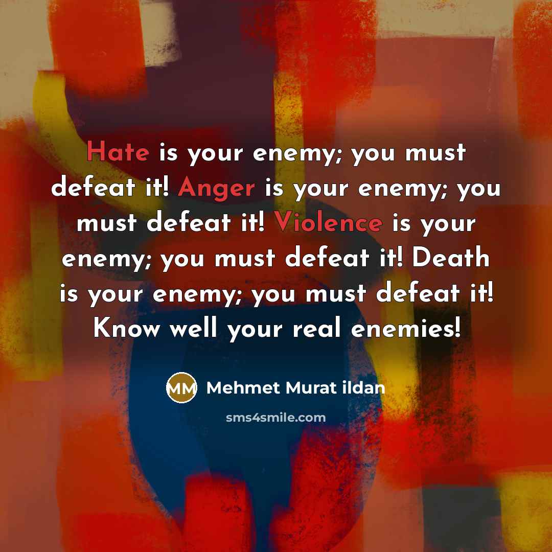 “Hate is your enemy; you must defeat it! Anger is your enemy; you must defeat it! Violence is your enemy; you must defeat it! Death is your enemy; you must defeat it! Know well your real enemies!” quote by Mehmet Murat Ildan