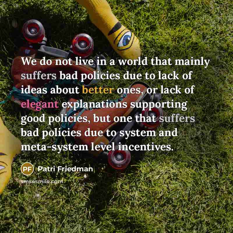 “We do not live in a world that mainly suffers bad policies due to lack of ideas about better ones, or lack of elegant explanations supporting good policies, but one that suffers bad policies due to system and meta-system level incentives.” quote by Patri Friedman