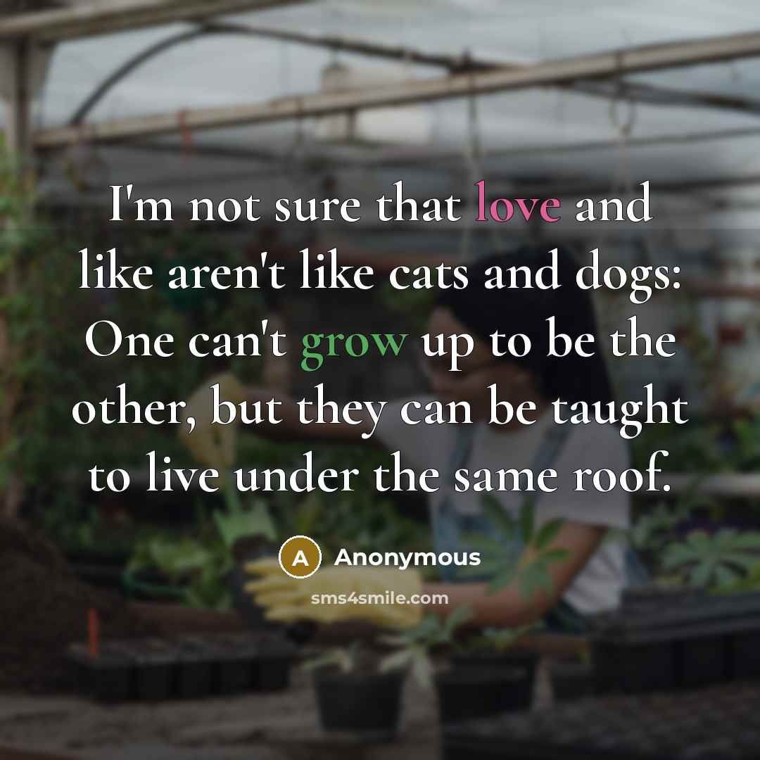 “I'm not sure that love and like aren't like cats and dogs: One can't grow up to be the other, but they can be taught to live under the same roof.” quote by Anonymous