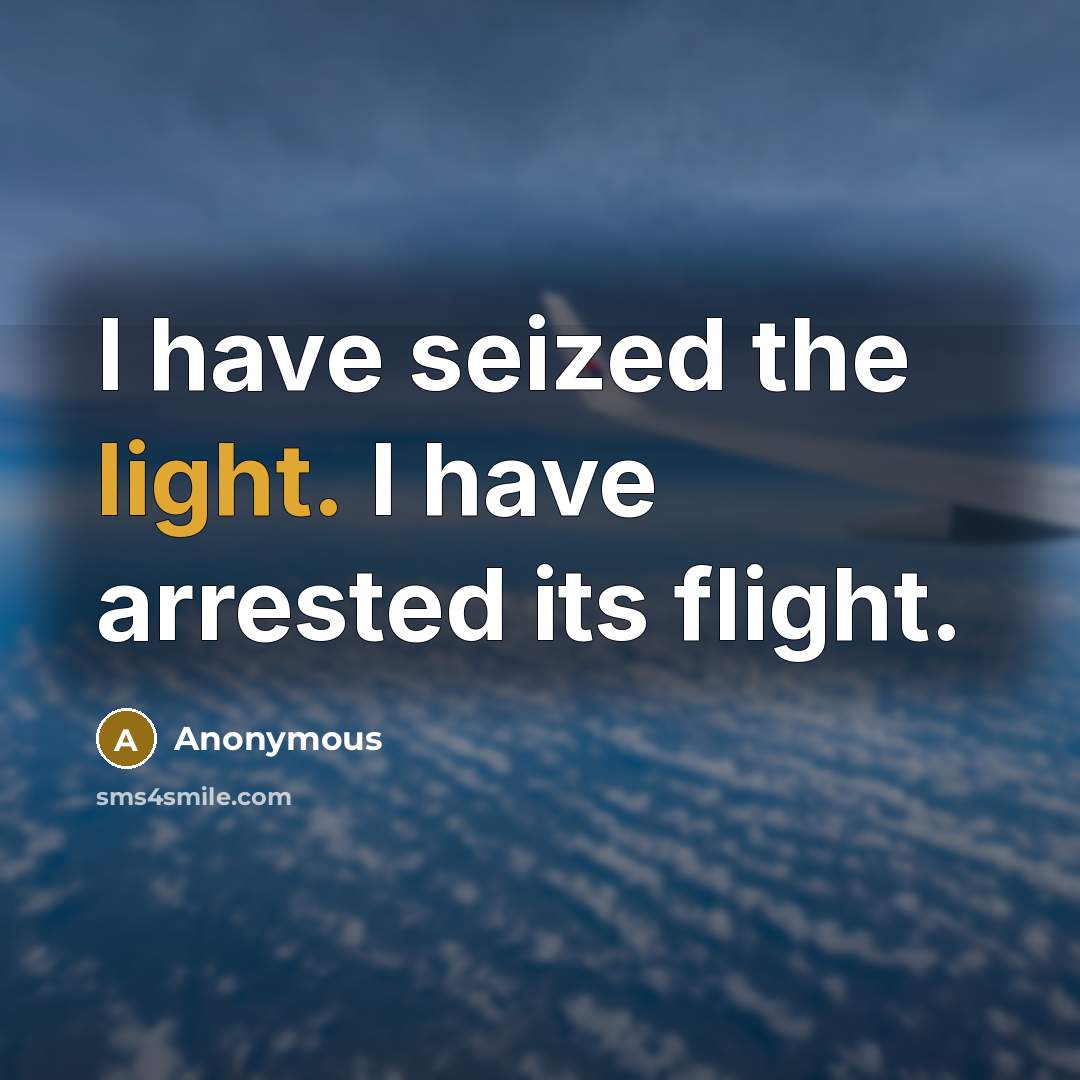 “I have seized the light. I have arrested its flight.” quote by Anonymous