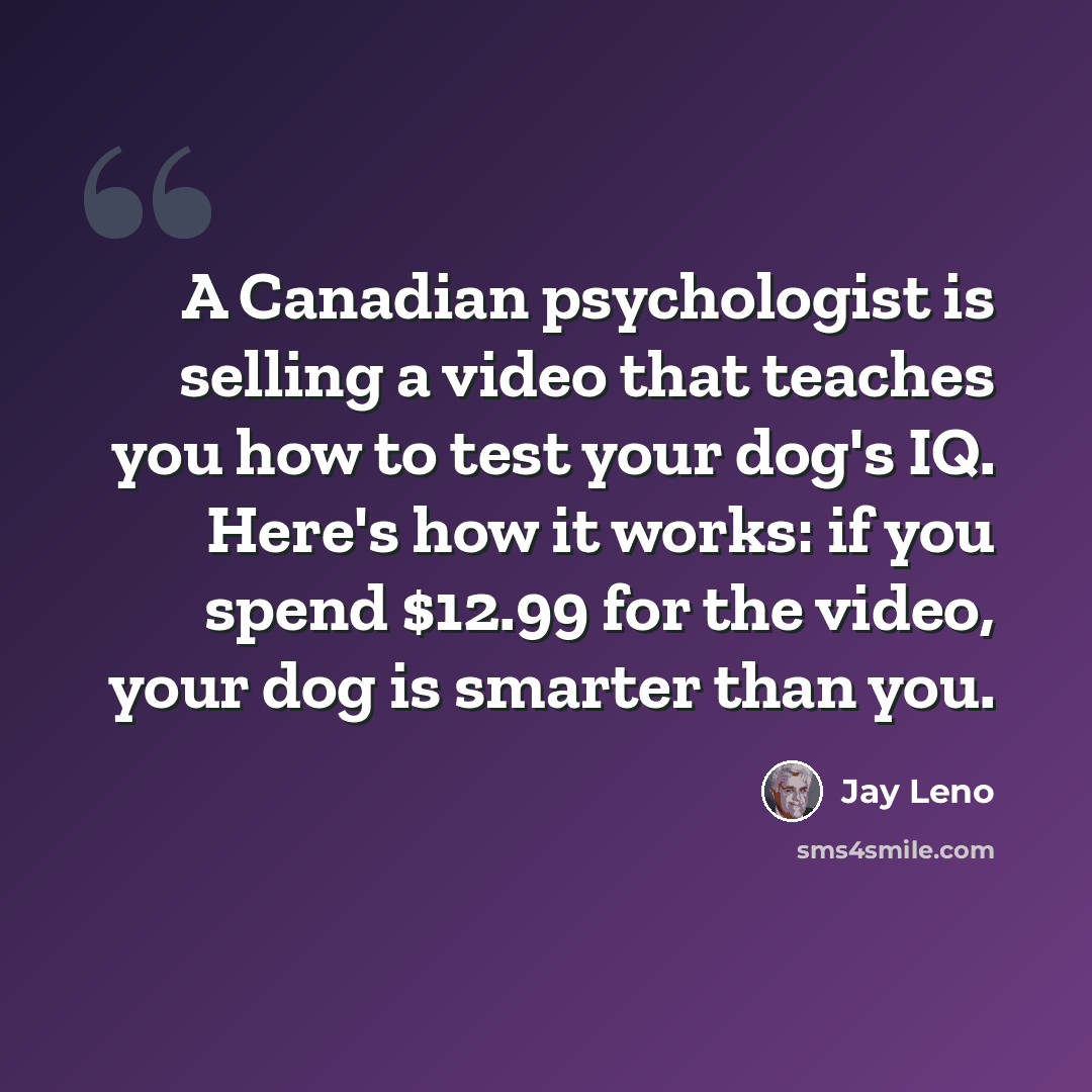 “A Canadian psychologist is selling a video that teaches you how to test your dog's IQ. Here's how it works: if you spend $12.99 for the video, your dog is smarter than you.” quote by Jay Leno