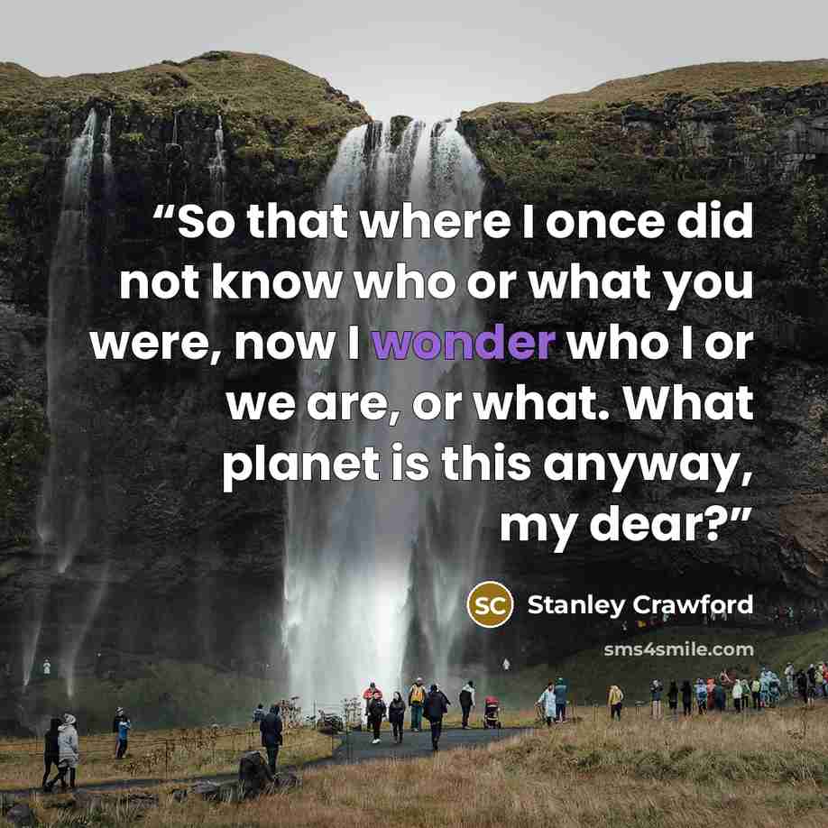 “So that where I once did not know who or what you were, now I wonder who I or we are, or what. What planet is this anyway, my dear?” quote by Stanley Crawford