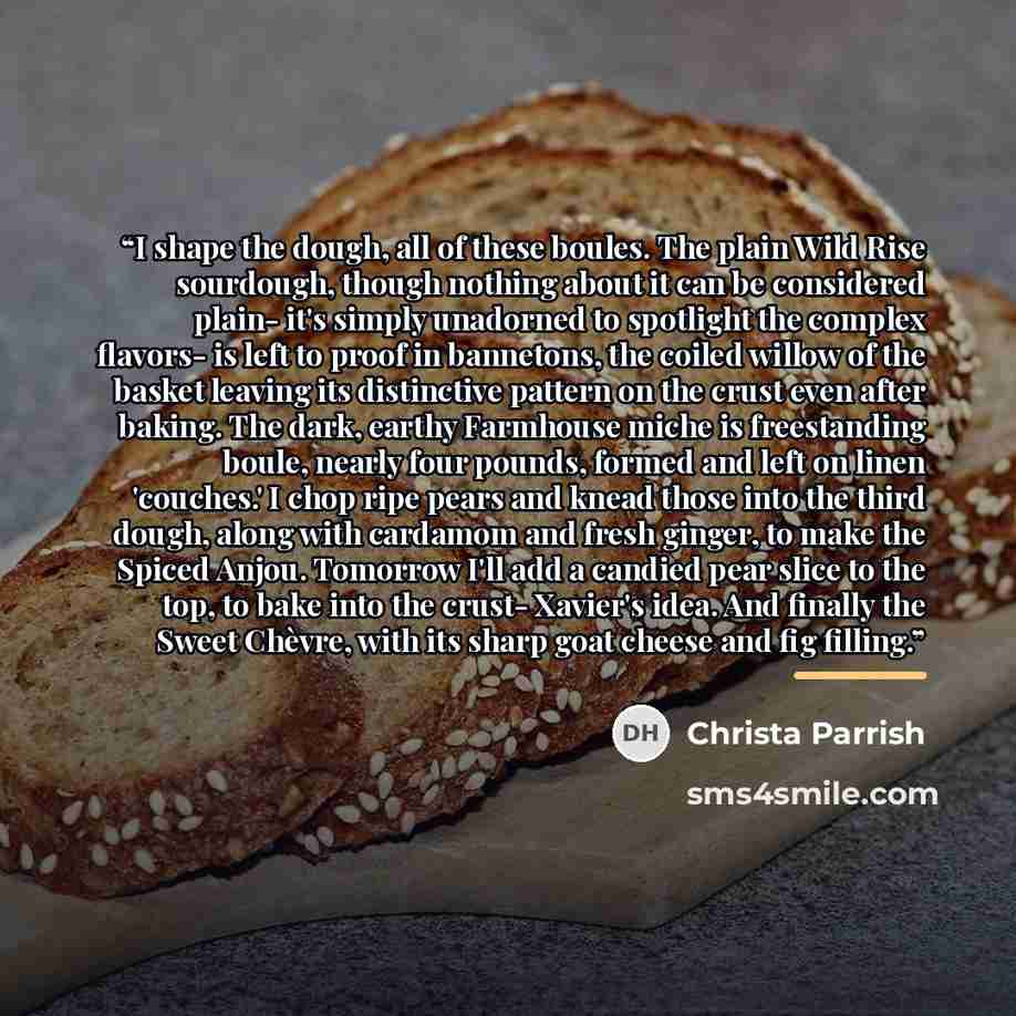 “I shape the dough, all of these boules. The plain Wild Rise sourdough, though nothing about it can be considered plain- it's simply unadorned to spotlight the complex flavors- is left to proof in bannetons, the coiled willow of the basket leaving its distinctive pattern on the crust even after…” quote by Christa Parrish