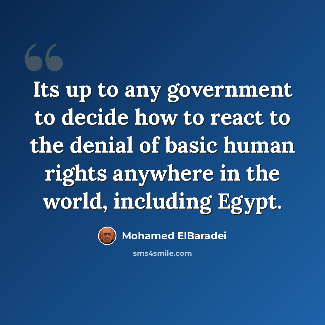 “Its up to any government to decide how to react to the denial of basic human rights anywhere in the world, including Egypt.” quote by Mohamed ElBaradei