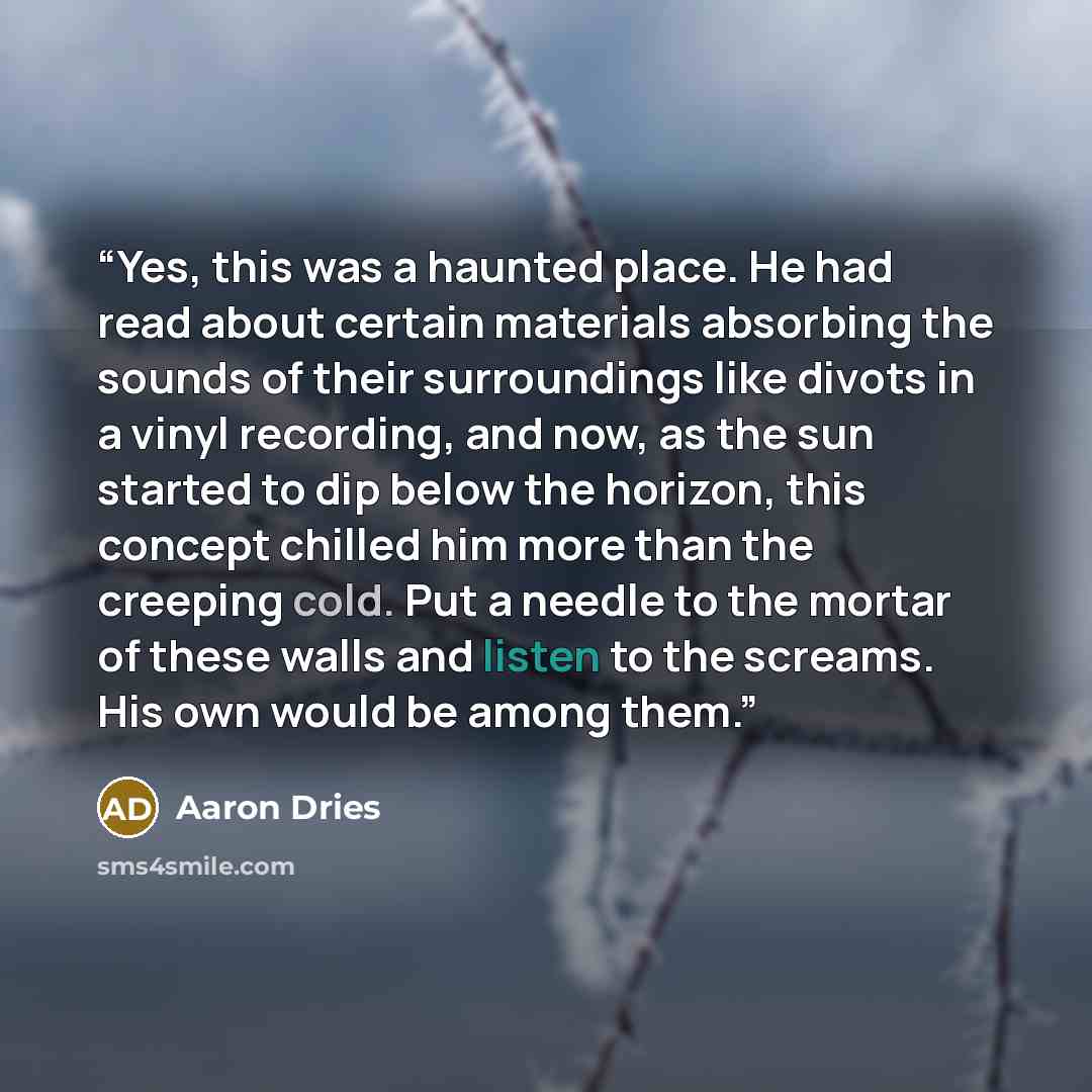 “Yes, this was a haunted place. He had read about certain materials absorbing the sounds of their surroundings like divots in a vinyl recording, and now, as the sun started to dip below the horizon, this concept chilled him more than the creeping cold. Put a needle to the mortar of these walls and…” quote by Aaron Dries