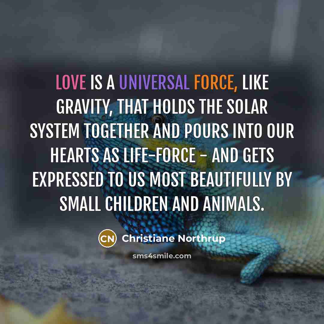 “Love is a universal force, like gravity, that holds the solar system together and pours into our hearts as life-force - and gets expressed to us most beautifully by small children and animals.” quote by Christiane Northrup