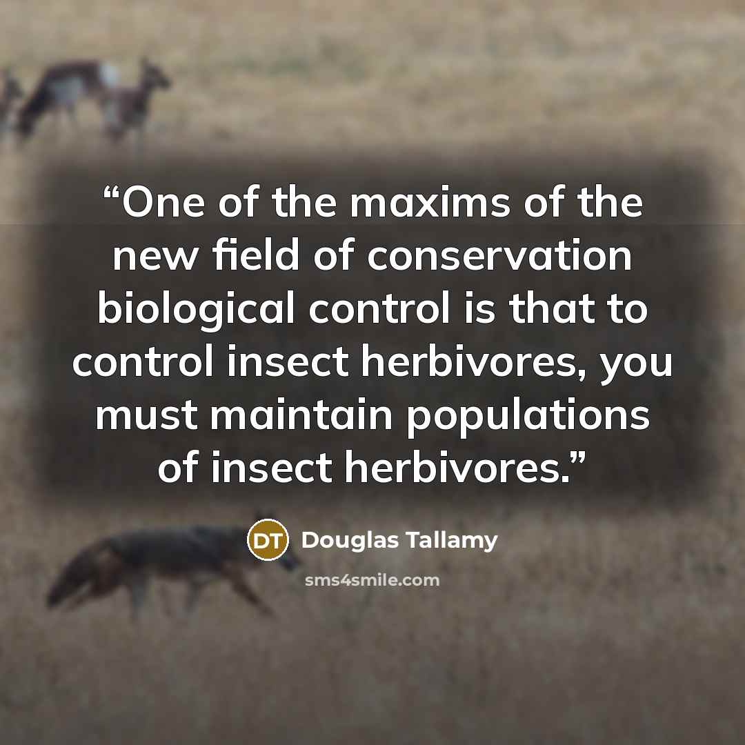 “One of the maxims of the new field of conservation biological control is that to control insect herbivores, you must maintain populations of insect herbivores.” quote by Douglas Tallamy