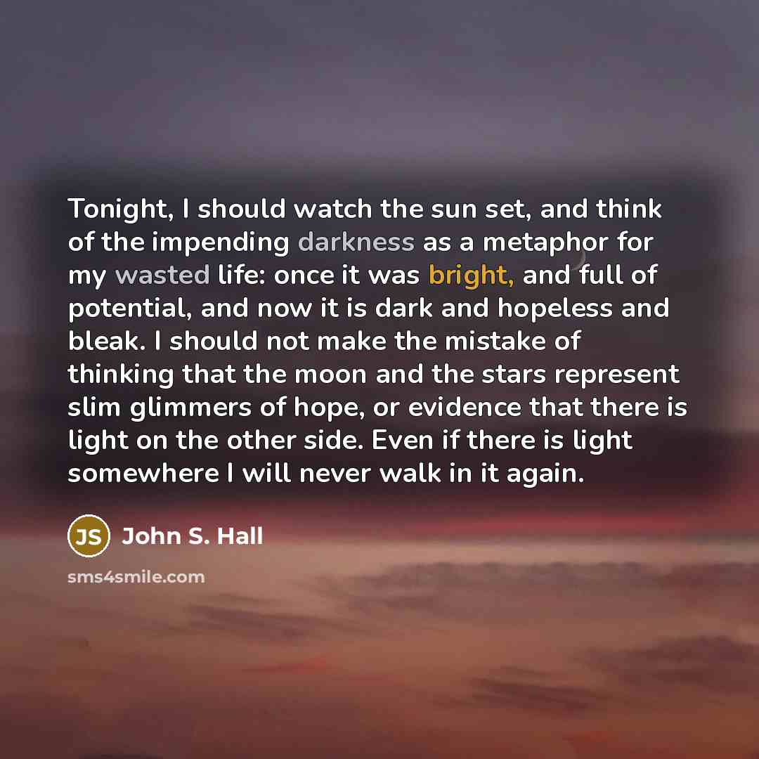 “Tonight, I should watch the sun set, and think of the impending darkness as a metaphor for my wasted life: once it was bright, and full of potential, and now it is dark and hopeless and bleak. I should not make the mistake of thinking that the moon and the stars represent slim glimmers of hope, or…” quote by John S. Hall