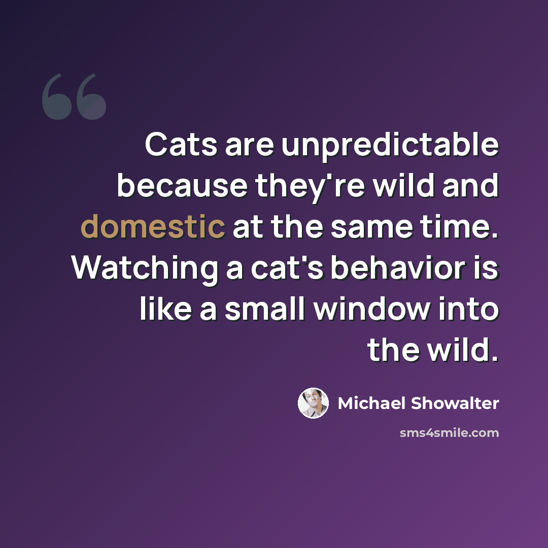“Cats are unpredictable because they're wild and domestic at the same time. Watching a cat's behavior is like a small window into the wild.” quote by Michael Showalter