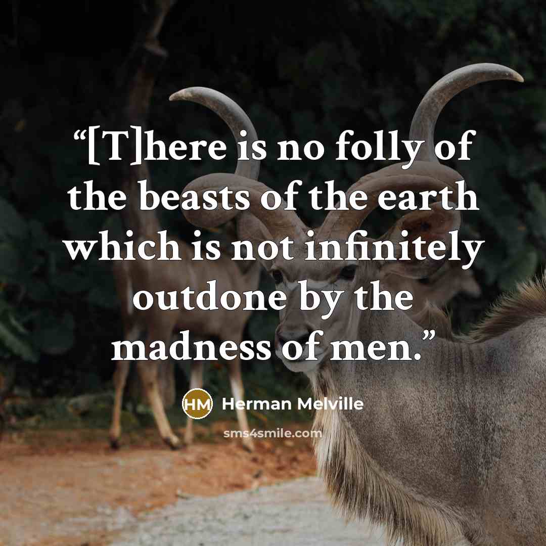“[T]here is no folly of the beasts of the earth which is not infinitely outdone by the madness of men.” quote by Herman Melville