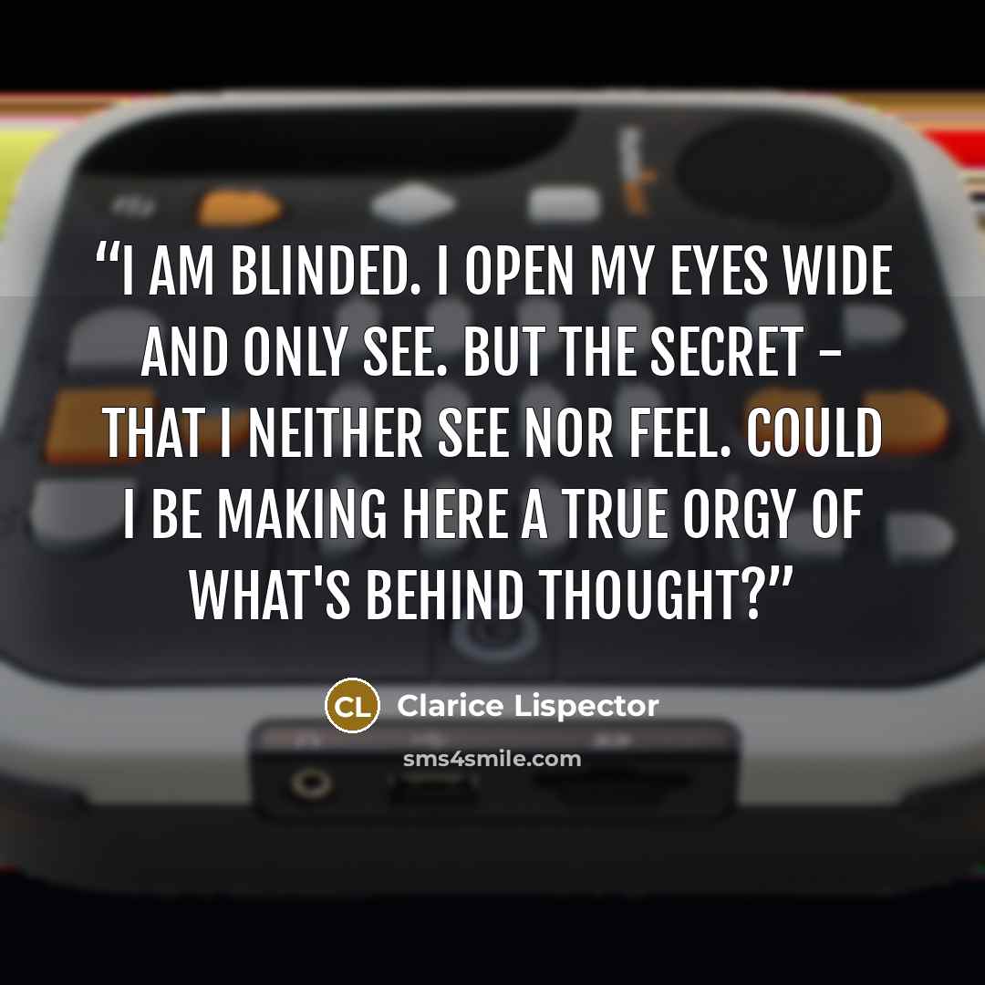 “I am blinded. I open my eyes wide and only see. But the secret - that I neither see nor feel. Could I be making here a true orgy of what's behind thought?” quote by Clarice Lispector