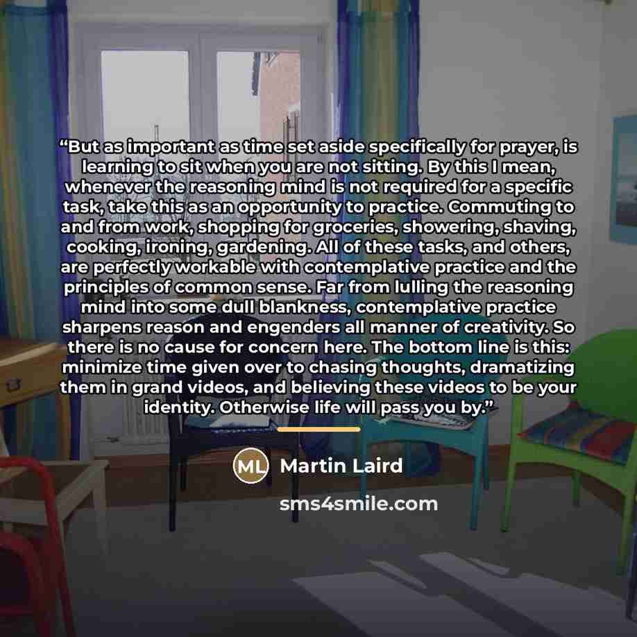 “But as important as time set aside specifically for prayer, is learning to sit when you are not sitting. By this I mean, whenever the reasoning mind is not required for a specific task, take this as an opportunity to practice. Commuting to and from work, shopping for groceries, showering, shaving…” quote by Martin Laird