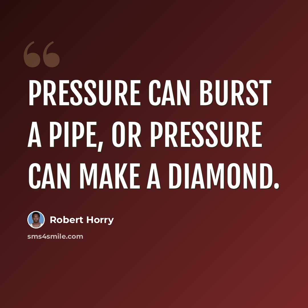 “Pressure can burst a pipe, or pressure can make a diamond.” quote by Robert Horry