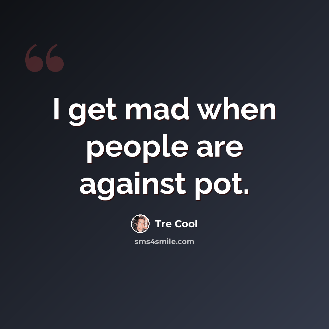 “I get mad when people are against pot.” quote by Tre Cool