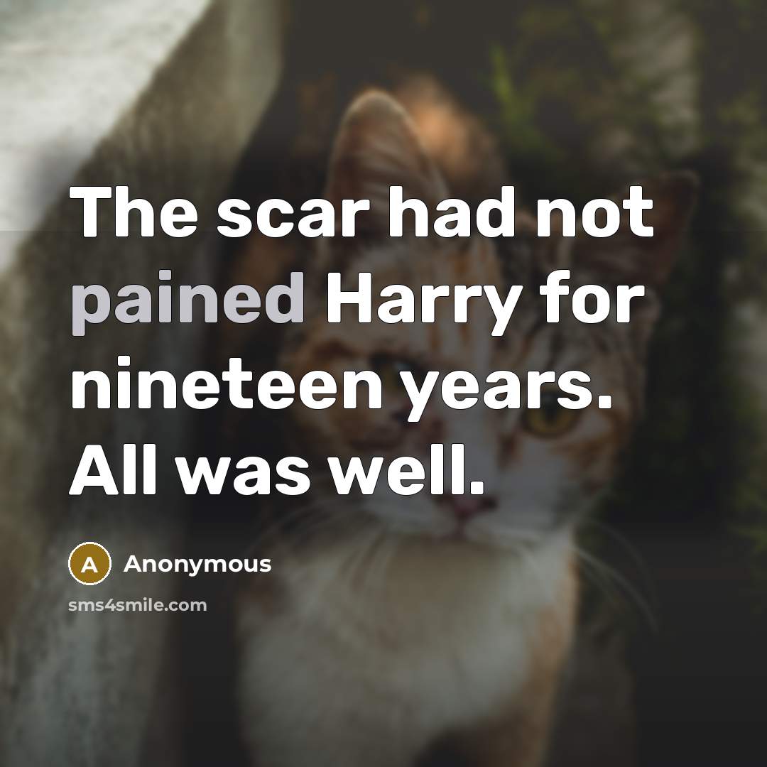 “The scar had not pained Harry for nineteen years. All was well.” quote by Anonymous
