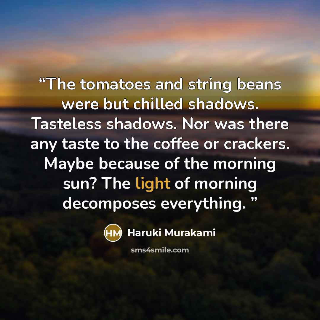 “The tomatoes and string beans were but chilled shadows. Tasteless shadows. Nor was there any taste to the coffee or crackers. Maybe because of the morning sun? The light of morning decomposes everything.” quote by Haruki Murakami