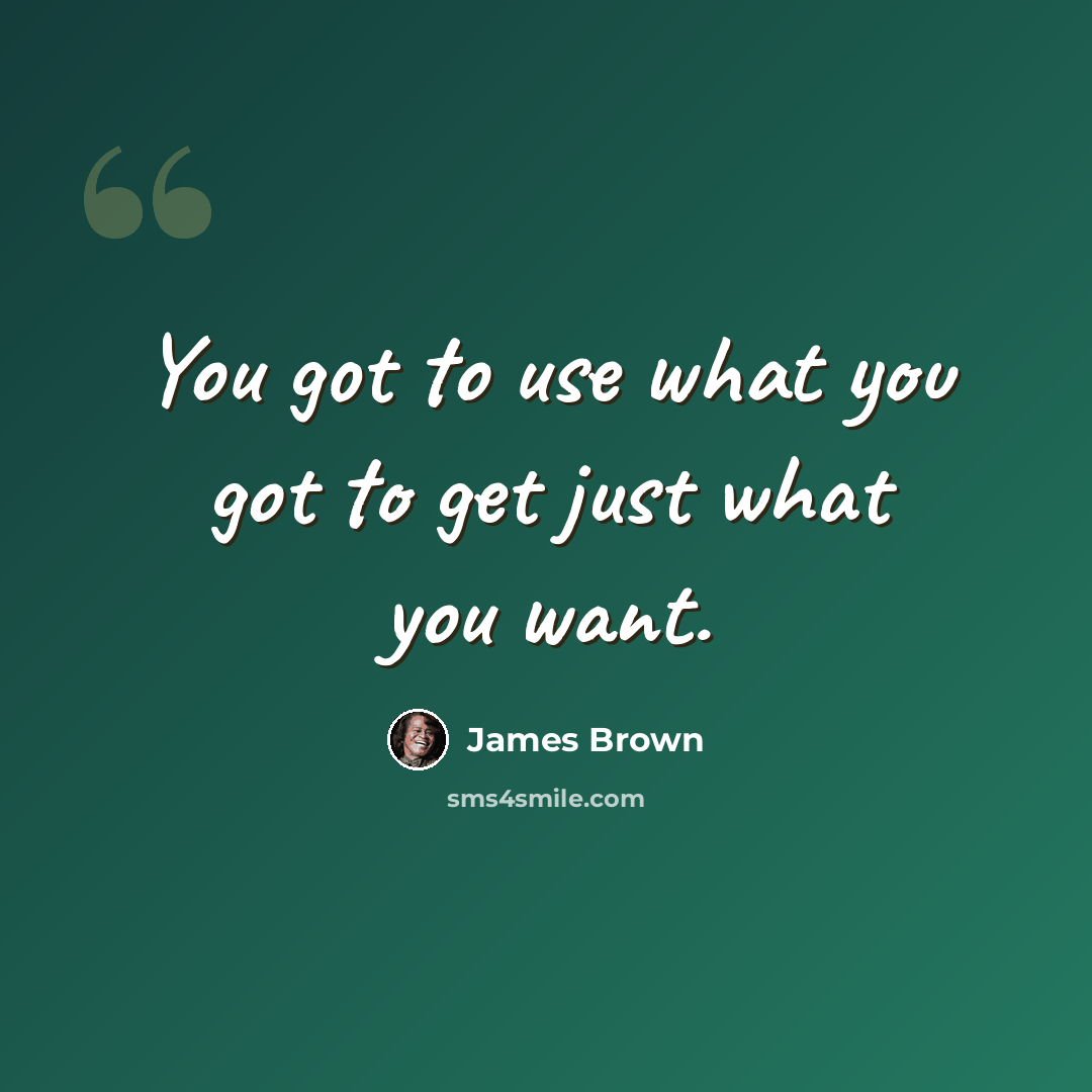 “You got to use what you got to get just what you want.” quote by James Brown