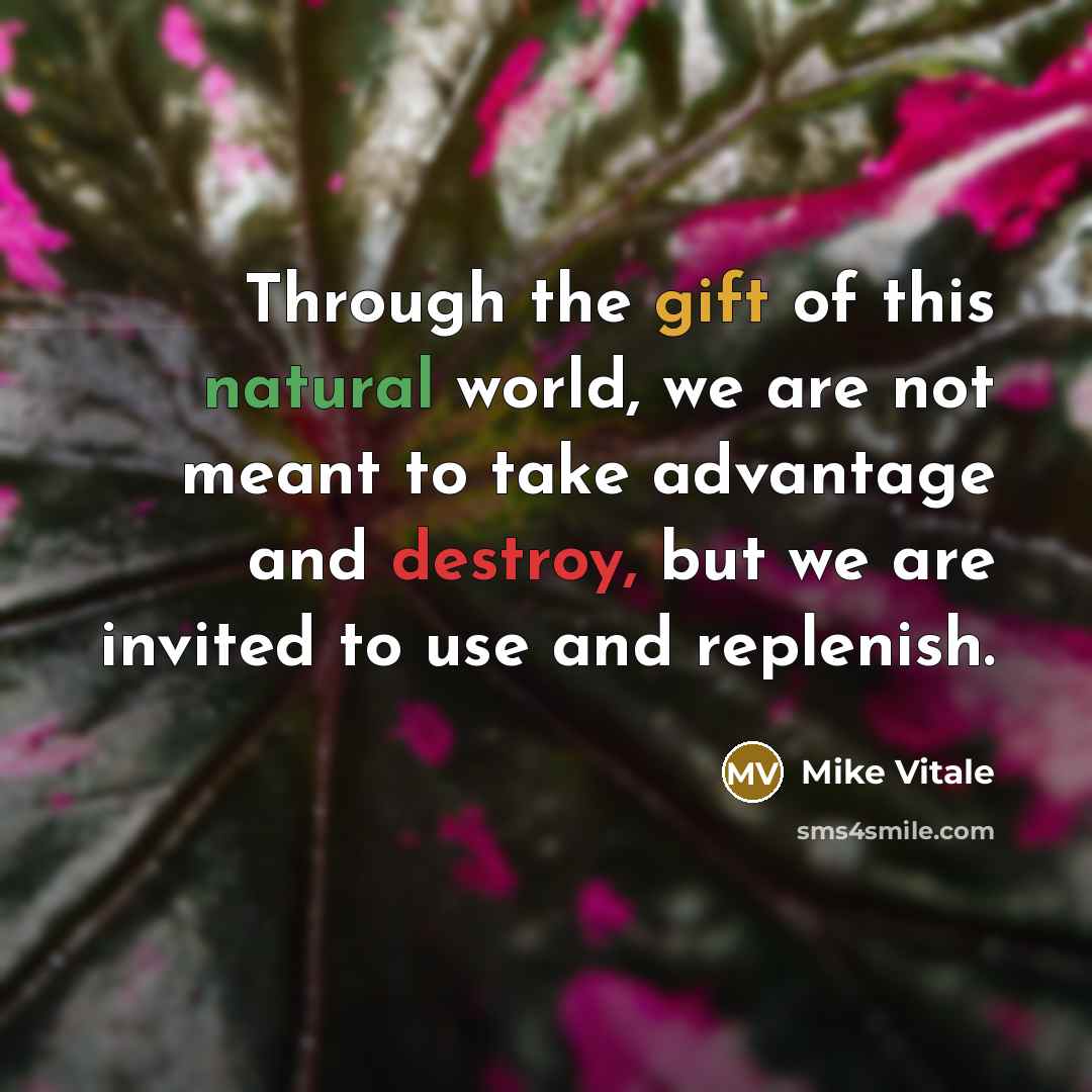 “Through the gift of this natural world, we are not meant to take advantage and destroy, but we are invited to use and replenish.” quote by Mike Vitale