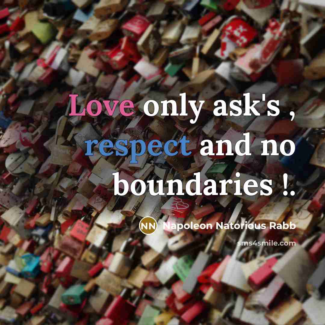 “Love only ask's , respect and no boundaries !.” quote by Napoleon Natorious Rabb